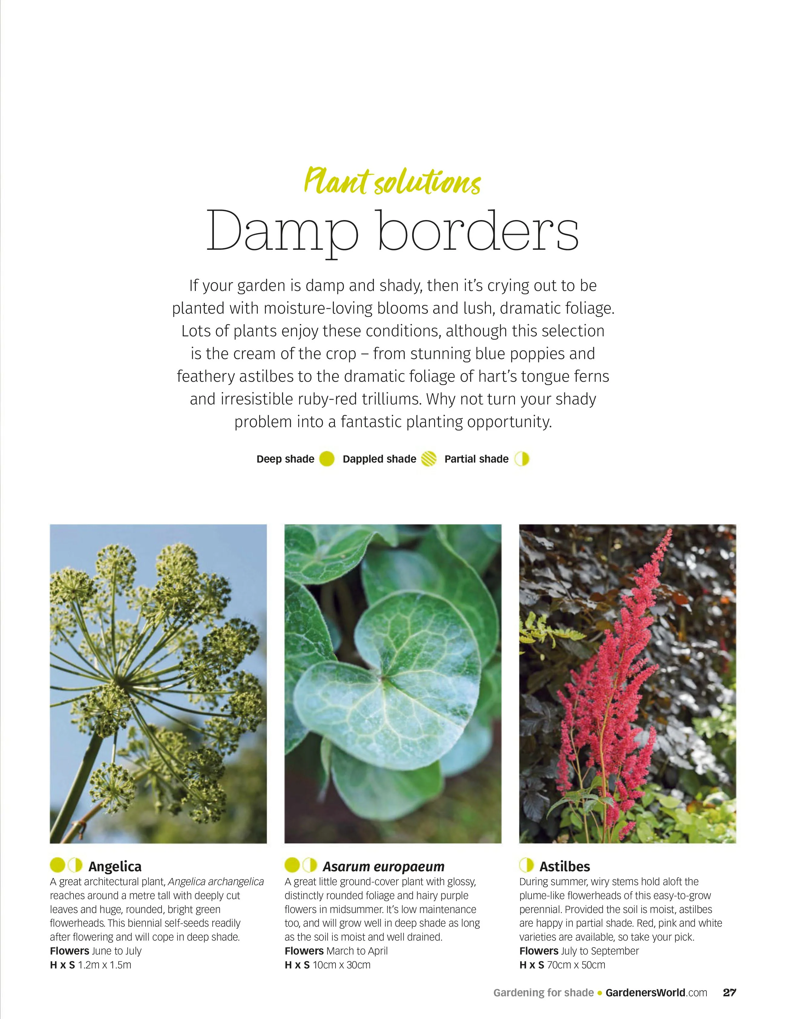 BBC Gardeners’ World Magazine – Guide Gardening for Shade, 2025 Magazine Digital - Image 3