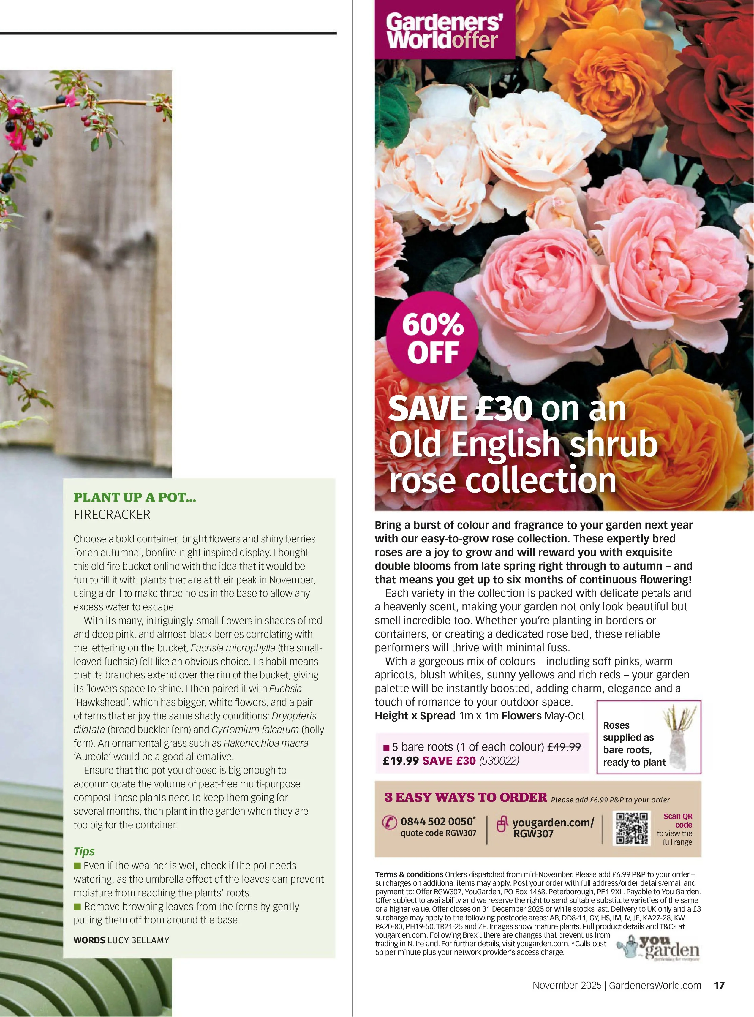 BBC Gardeners’ World – November 2025 Magazine Digital - Image 2