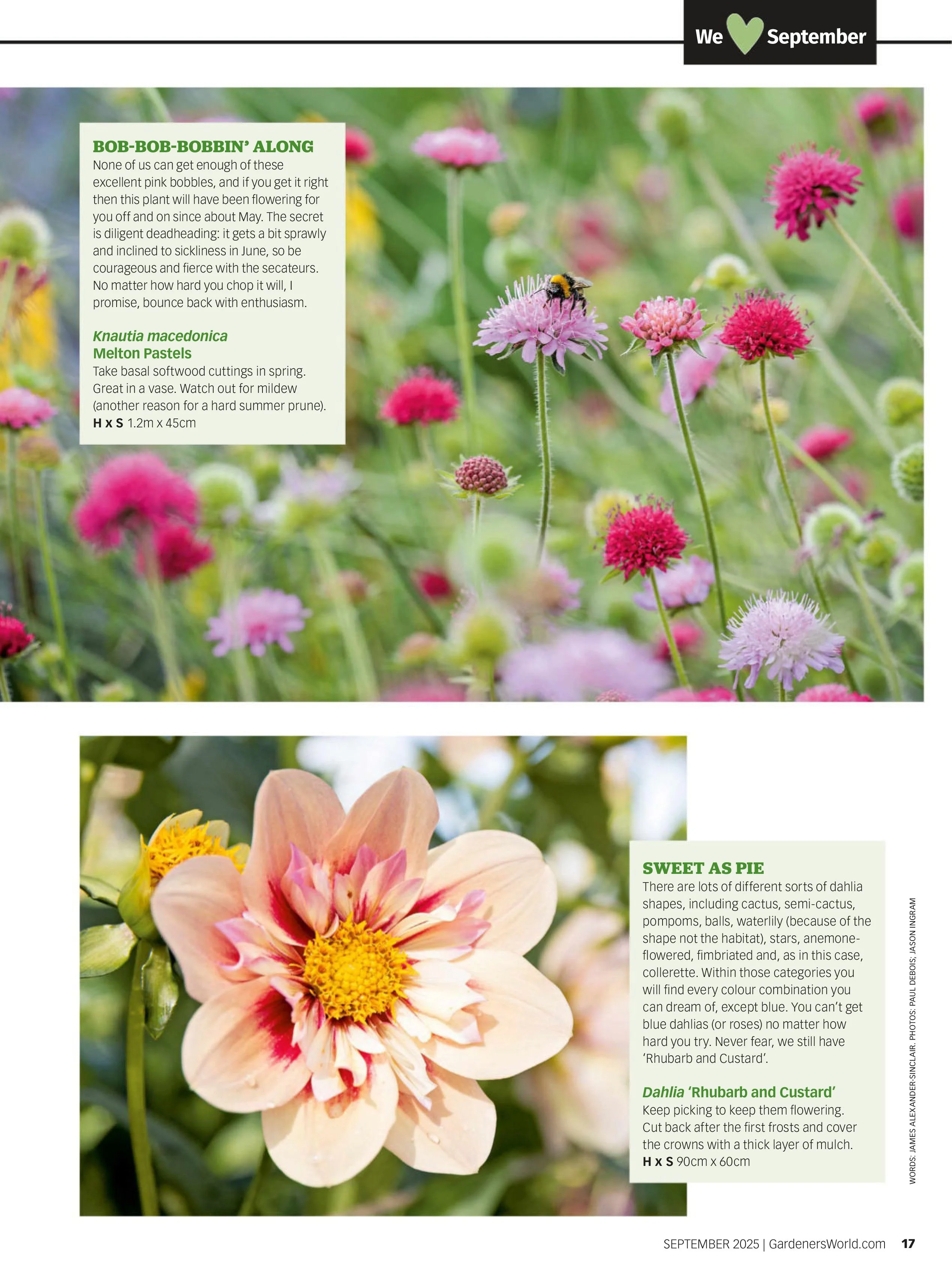 BBC Gardeners’ World – September 2025 Magazine Digital - Image 2