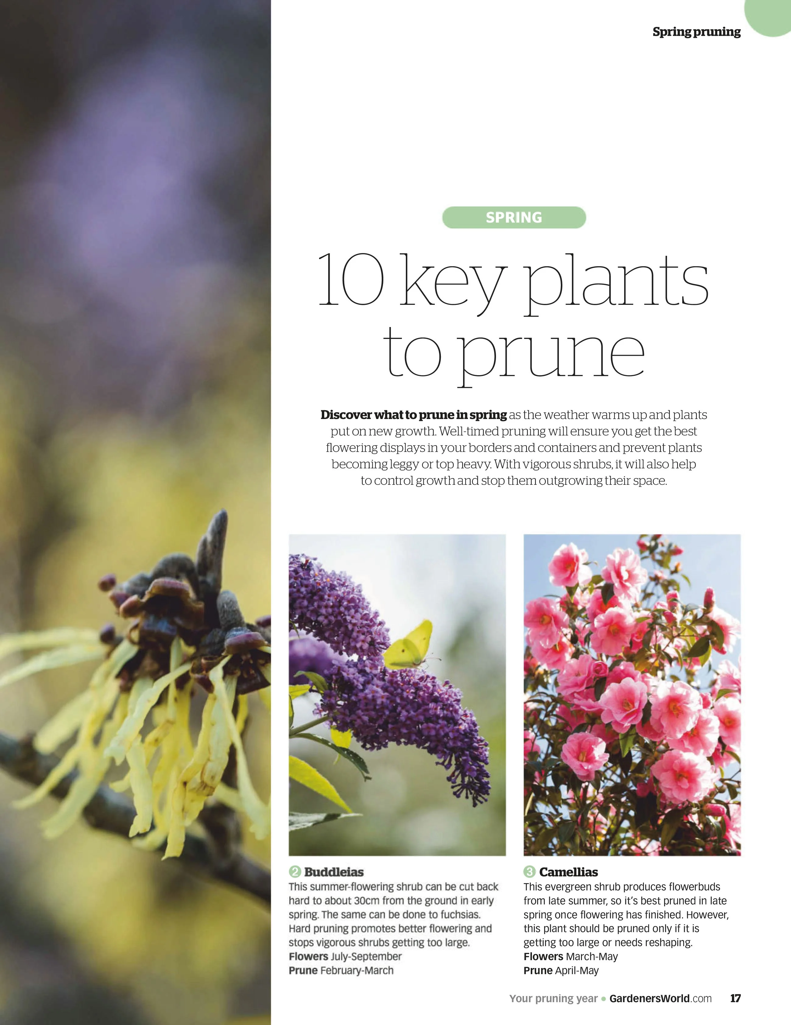 BBC Gardeners’ World Specials – Guide Your Pruning Year 2025 Digital - Image 2
