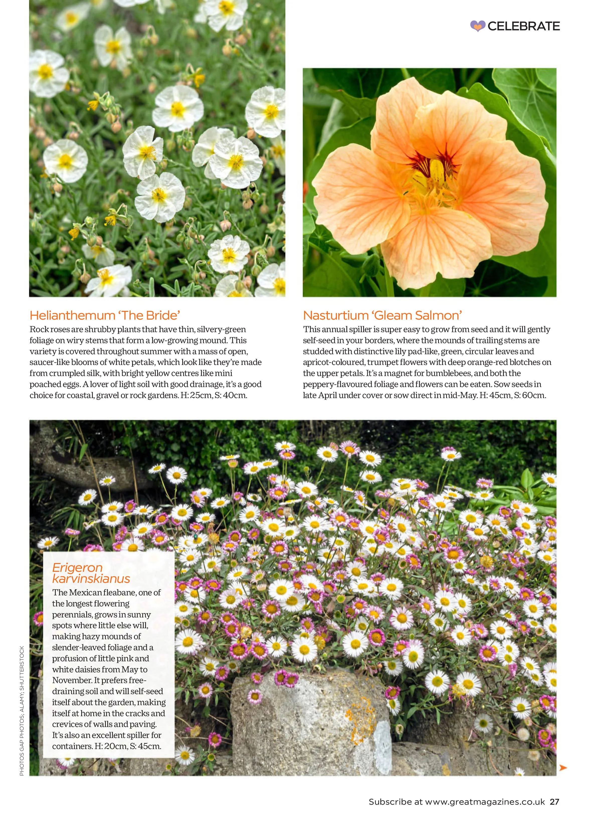 Garden Answers – August 2025 Magazine Digital - Image 3