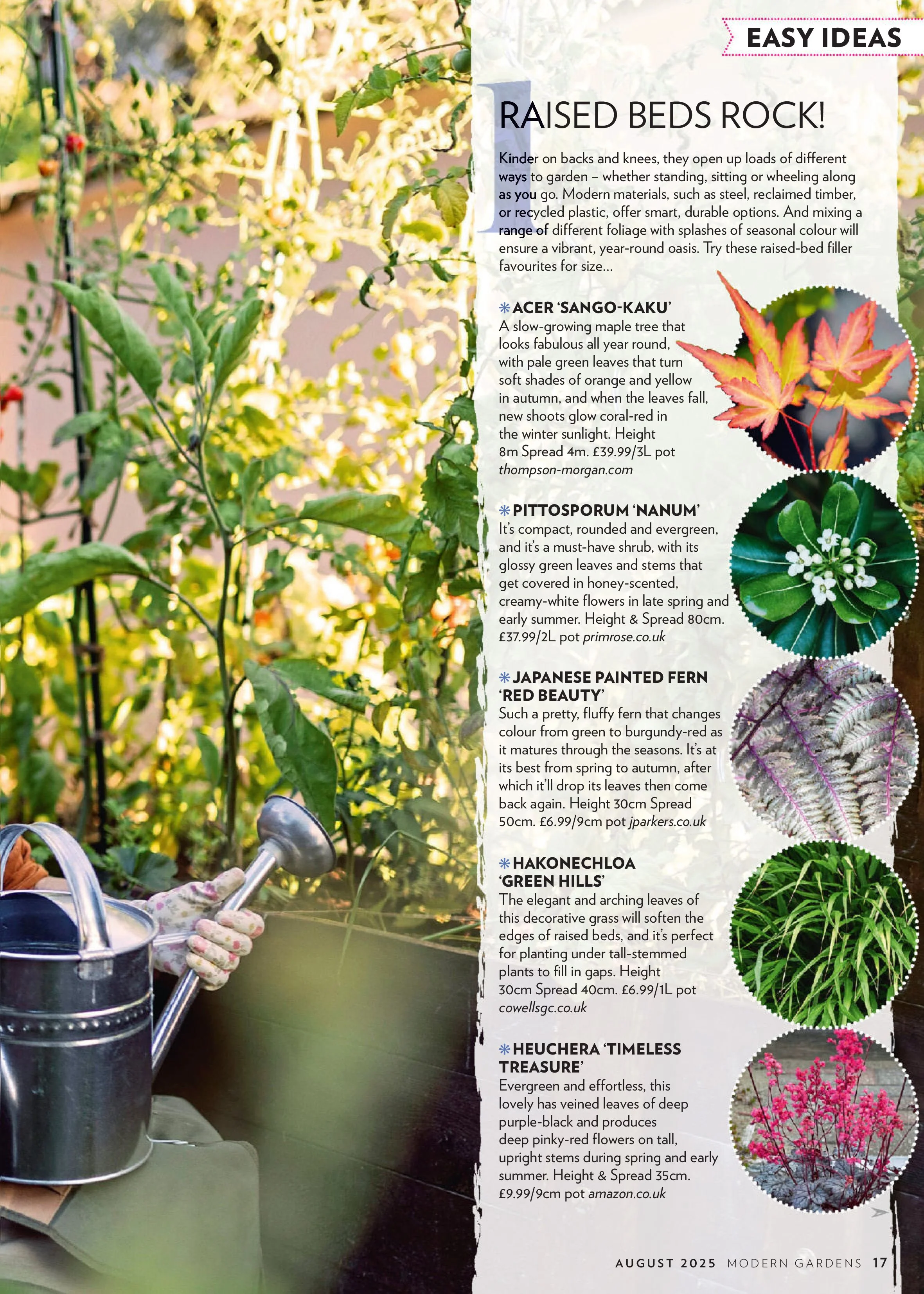 Modern Gardens Magazine – August 2025 Magazine Digital - Image 2