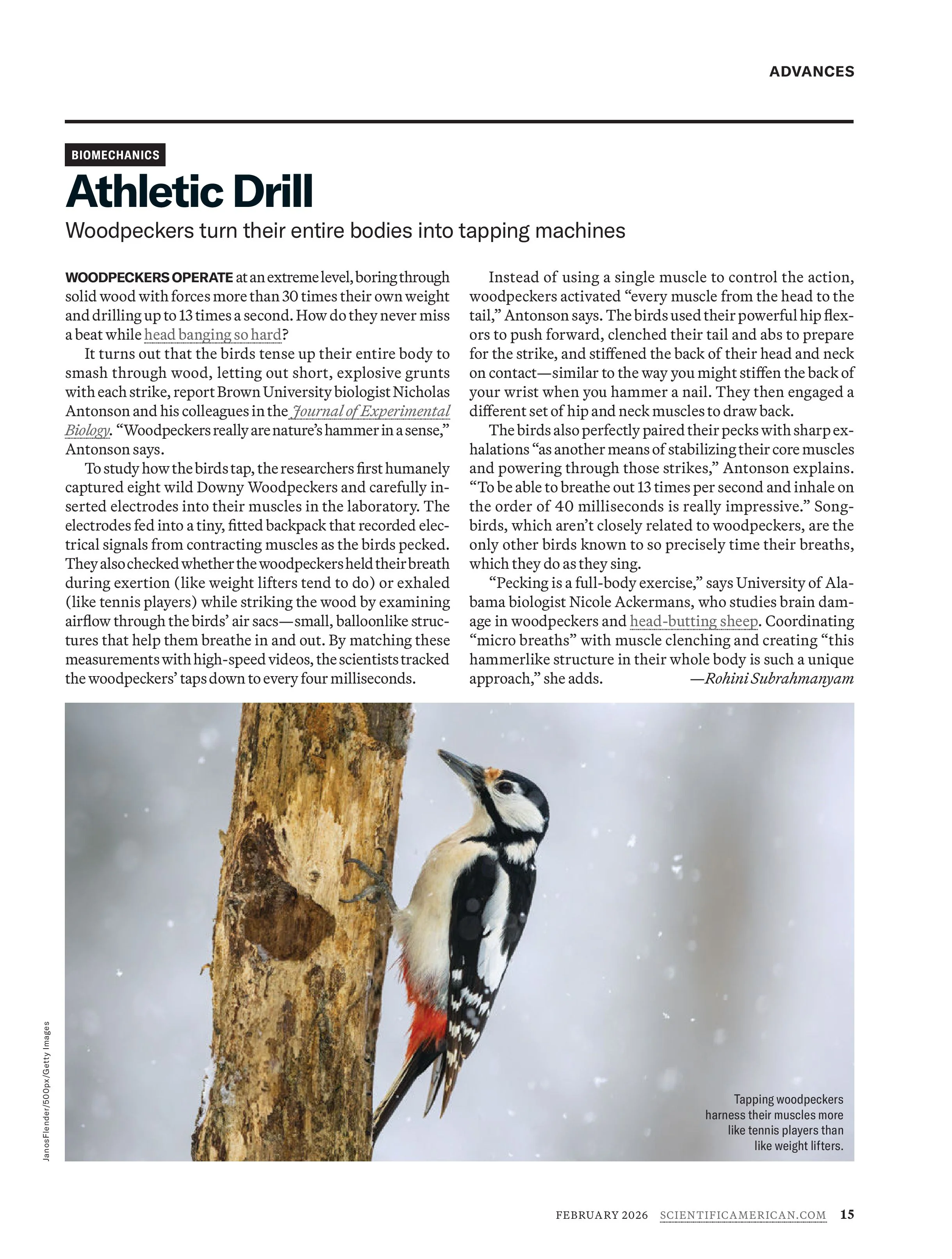 Scientific American – February 2026 Magazine Digital - Image 2