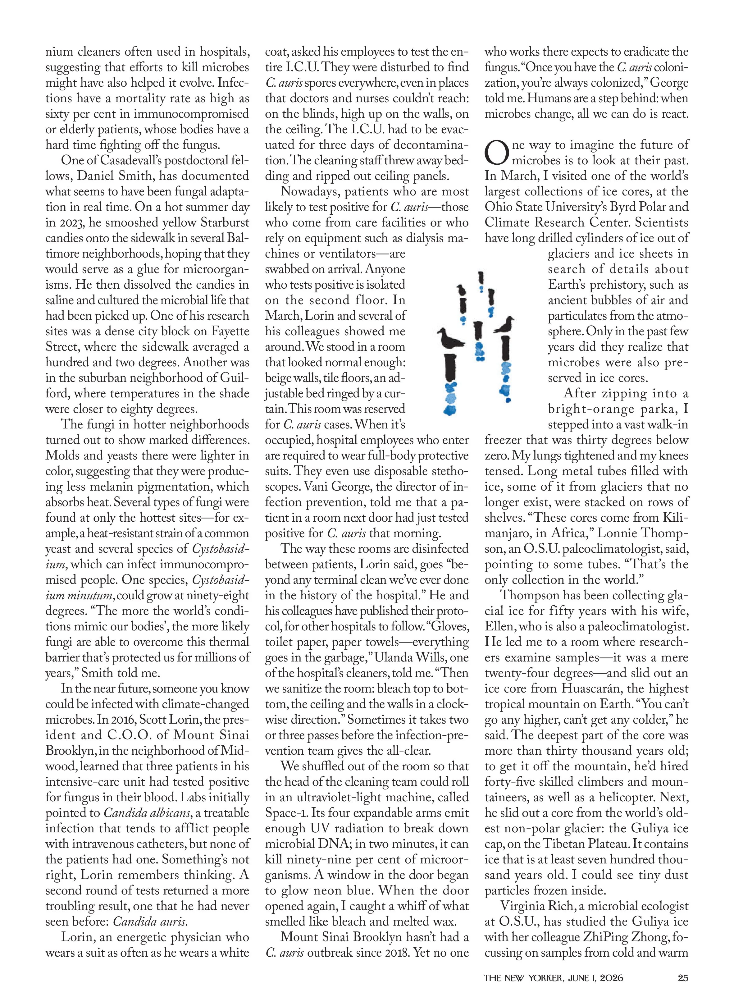 The New Yorker – June 1, 2026 Digital Magazine - Image 3