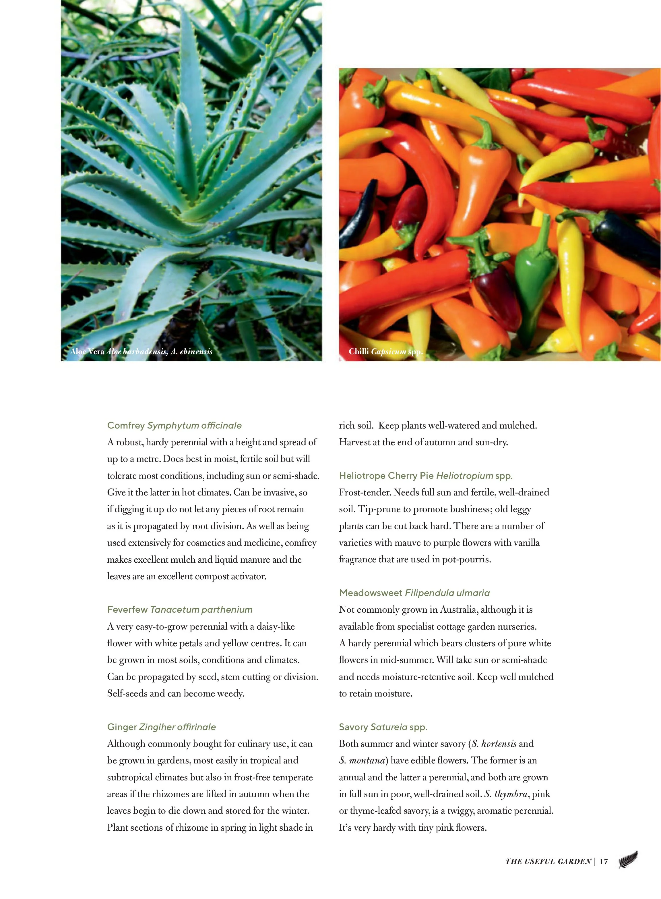 The Useful Garden 2025 Magazine Digital - Image 2