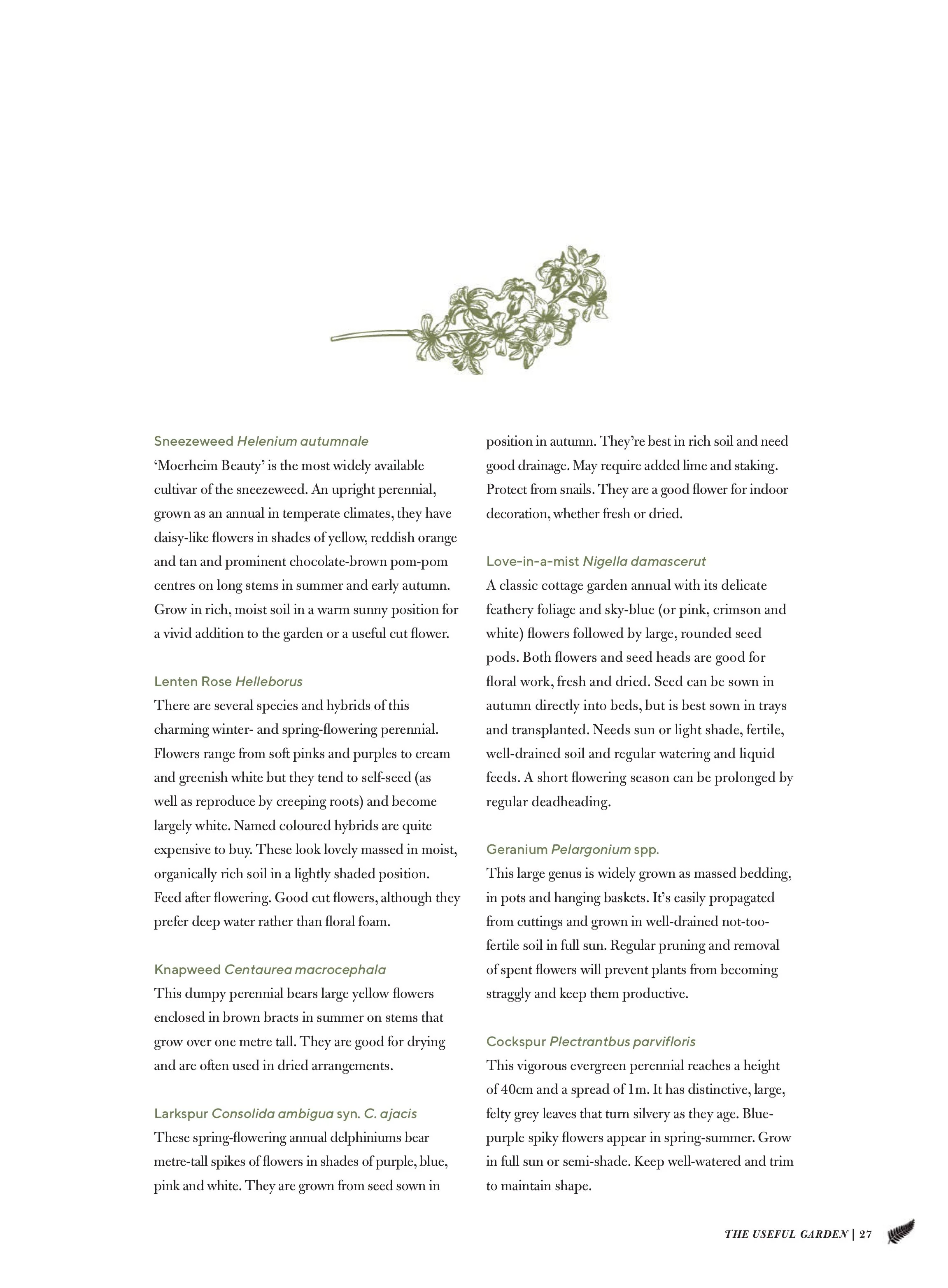 The Useful Garden 2025 Magazine Digital - Image 3
