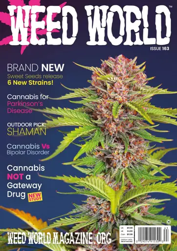 Weed World Magazine - Image 2